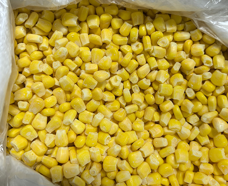 IQF sweet corn